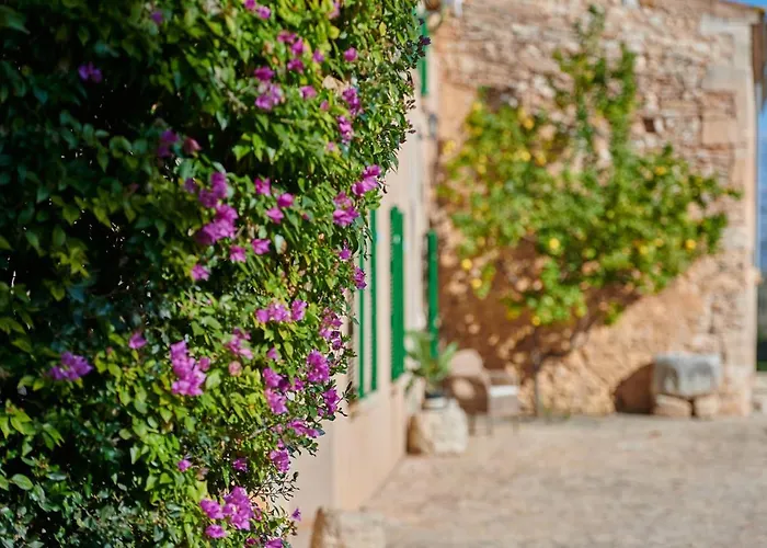 Finca Son Oliver By Mallorca House Rent